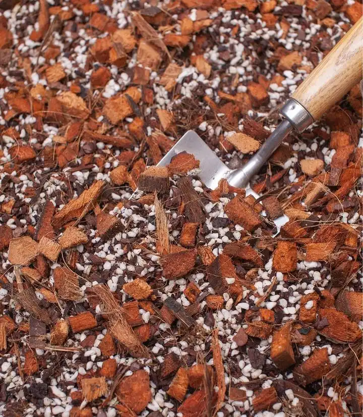 Premium succulent potting soil